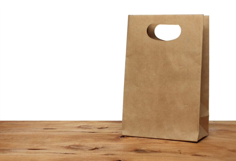 Paper Bag Types & Sizes (Infographic)