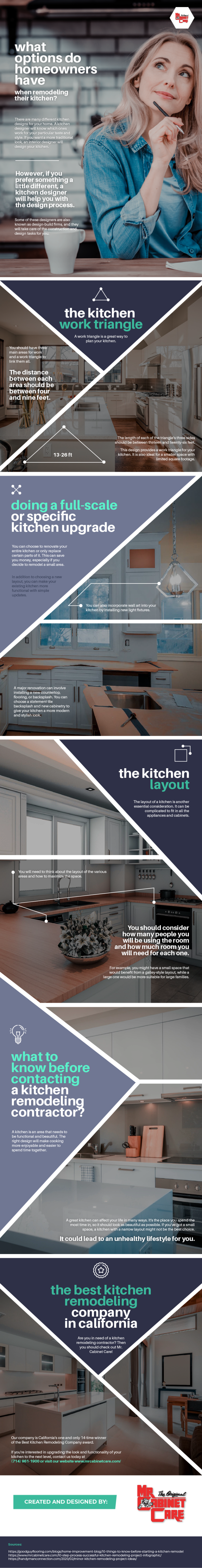 What_Options_Do_Homeowners_Have_When_Remodeling_Their_Kitchen_infographic_image_44